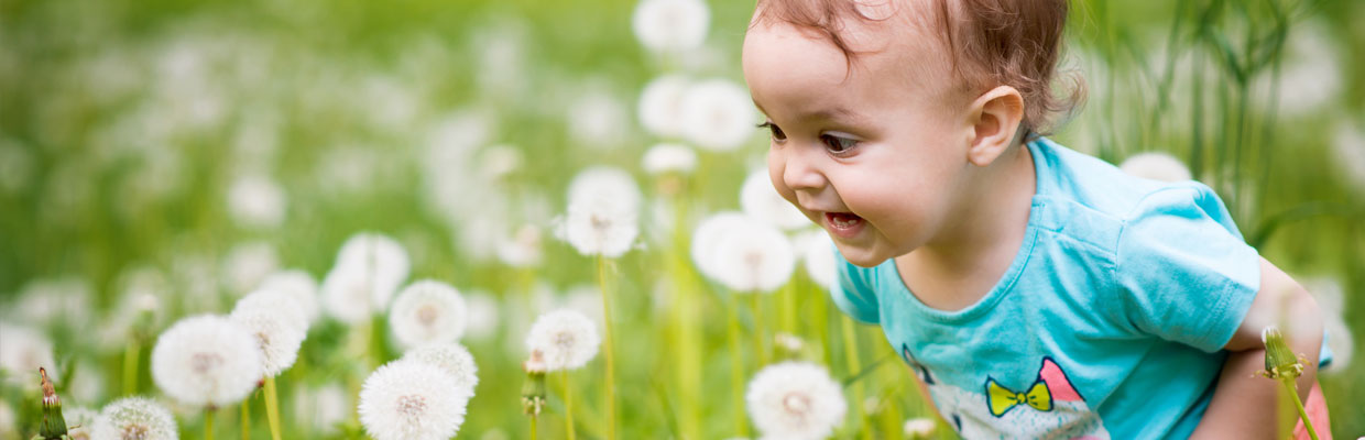 Kind steht auf der Wiese und bestaunt Pusteblumen